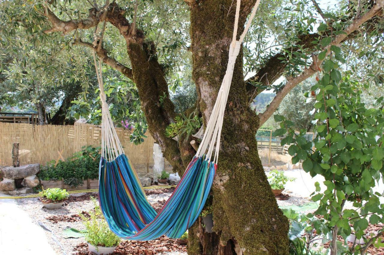 Turismo Rural Casa Da Ceu Amiais de Cima Luaran gambar