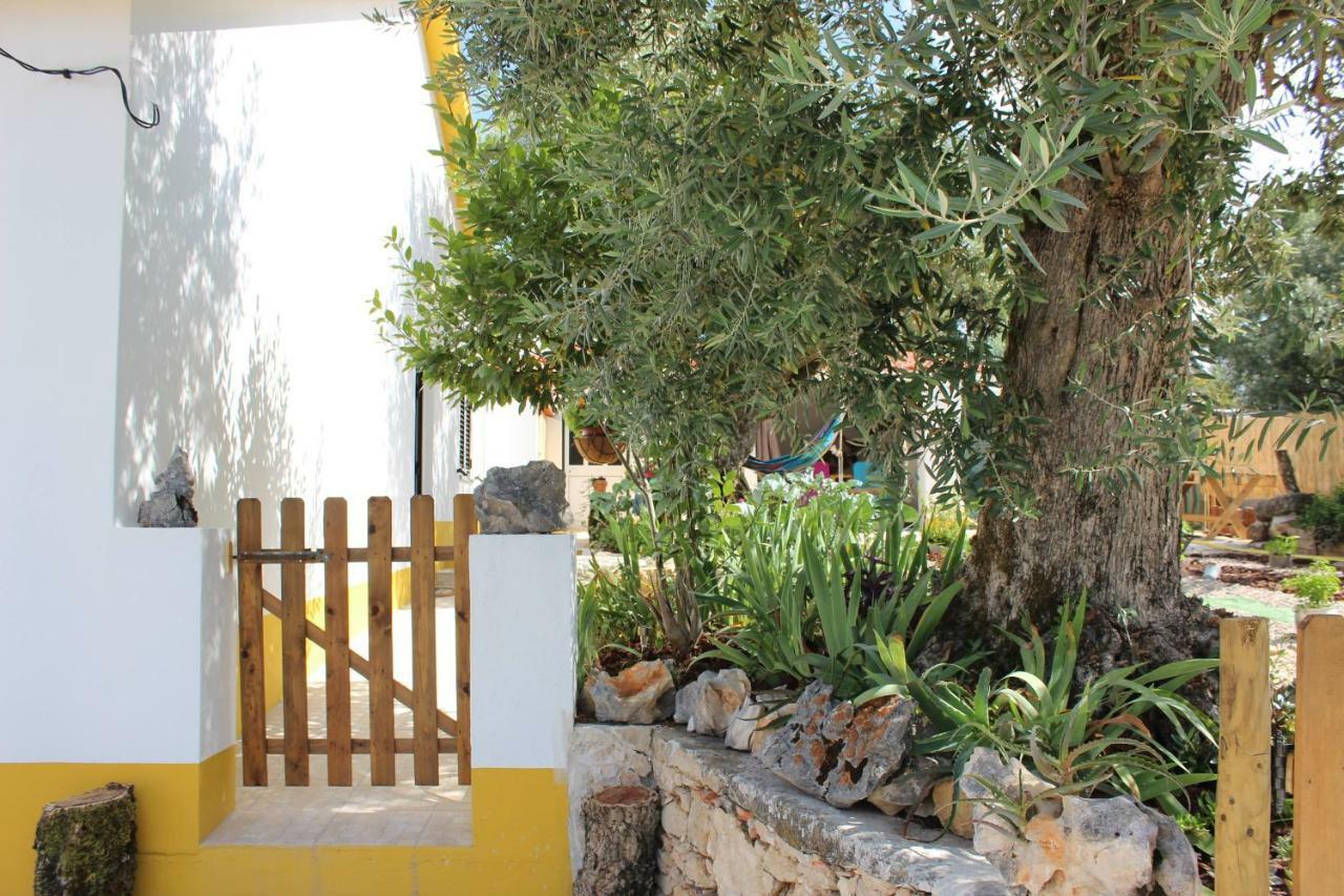 Turismo Rural Casa Da Ceu Amiais de Cima Luaran gambar
